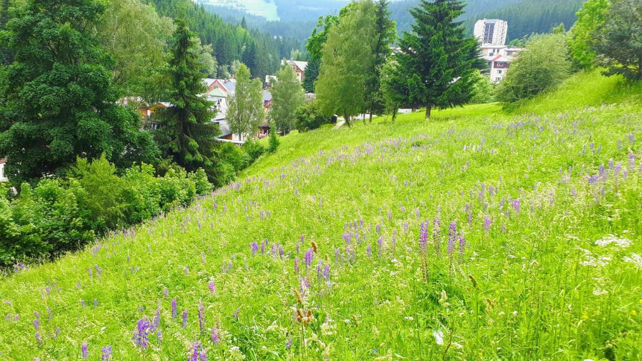 Apartman Liska V Peci - Apartmanovy Dum Horalka, Пец под Снежко Екстериор снимка